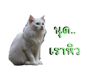 669283299