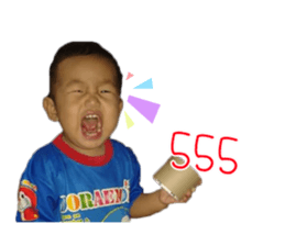 66931411