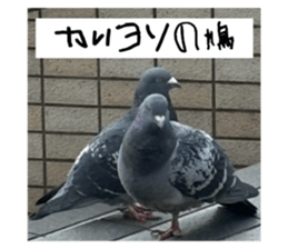 669365021
