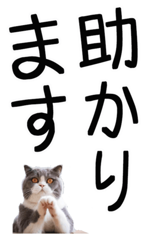 669365368
