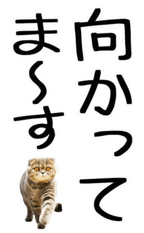 669365372
