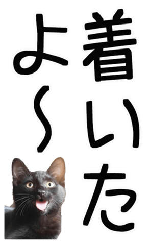 669365373