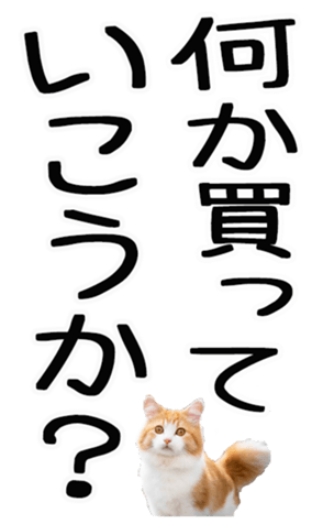 669365378