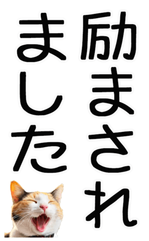 669365387