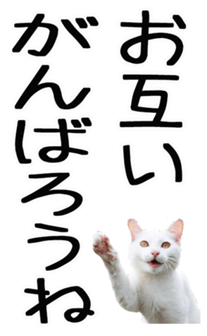669365389