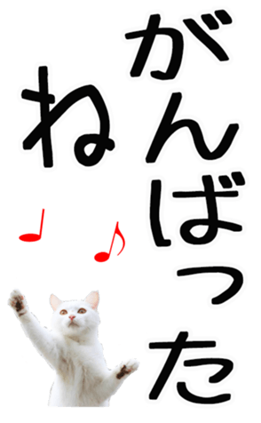 669365390