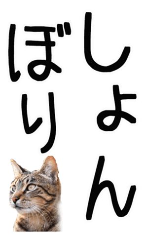 669365393