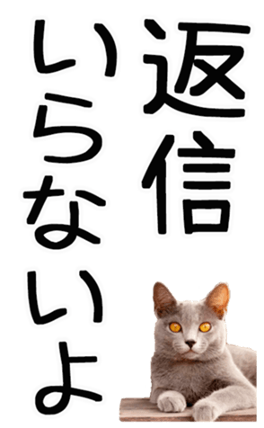 669365394