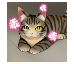669377172