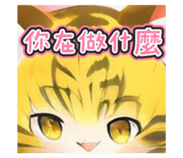 669377177
