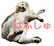 669378213