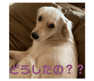 669378221