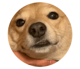669378251