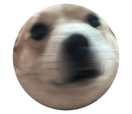 669378253