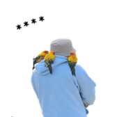669436751