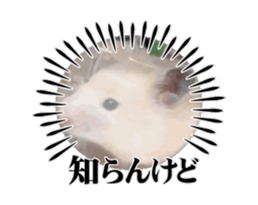 669452537