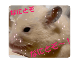669452540