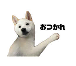 669486660