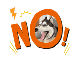669487915