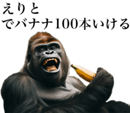 669499355