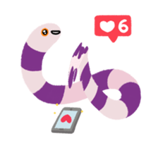 66952606