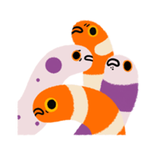66952625