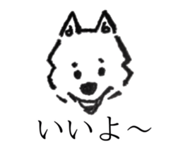 669550307