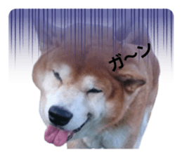669596104