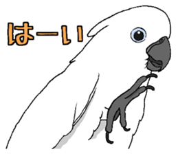 6696242