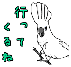 6696246