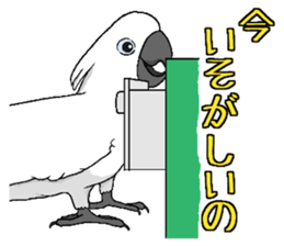 6696249