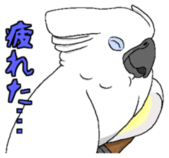 6696250