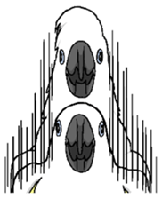 6696276