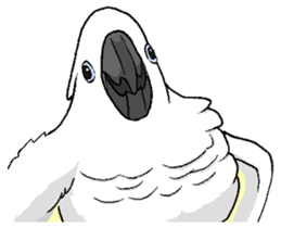 6696278