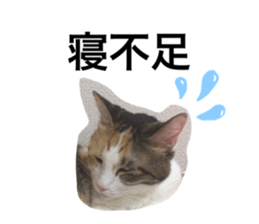 669629022