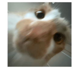 669635686