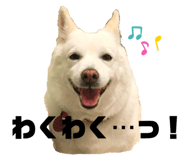 669671286