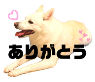 669671290
