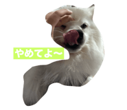 669673089