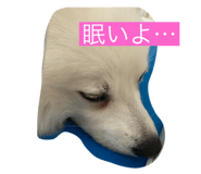 669673158