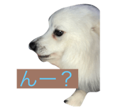 669673164