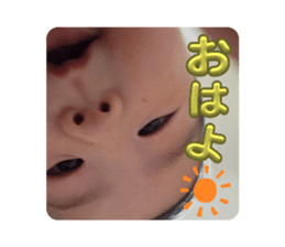 669681118