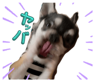 669688989