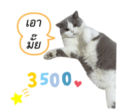 669758485