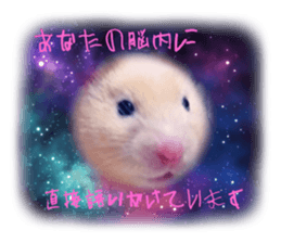 669773124