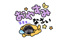 669806570
