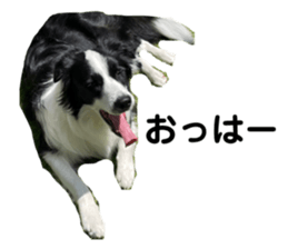 669898127