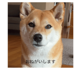 669899809