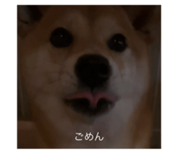 669899812