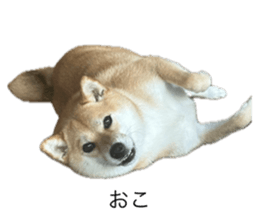 669899814